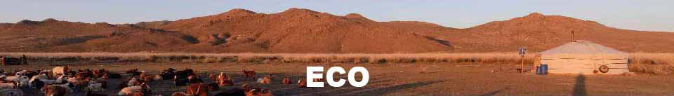 ECO