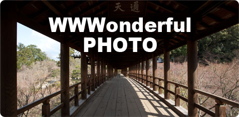 WWWondreful PHOTO